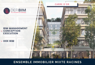 construction ensemble immobilier mixte racines en bim